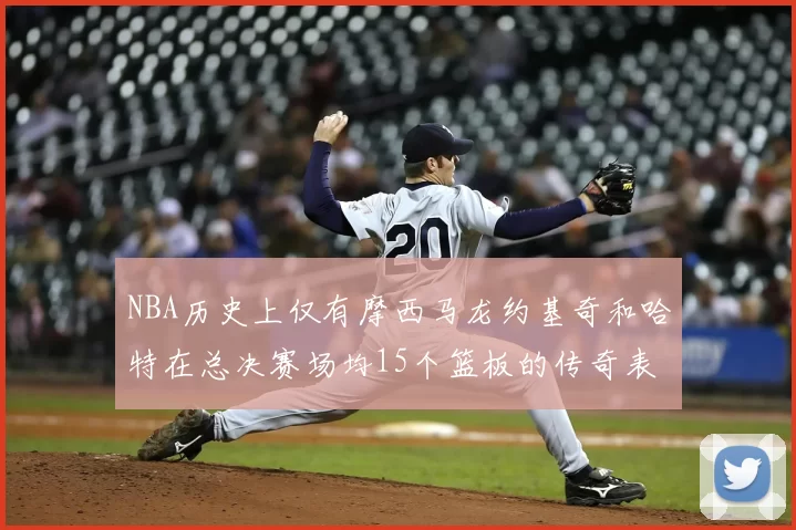 NBA历史上仅有摩西马龙约基奇和哈特在总决赛场均15个篮板的传奇表现