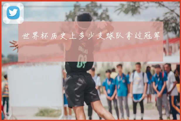 世界杯历史上多少支球队拿过冠军