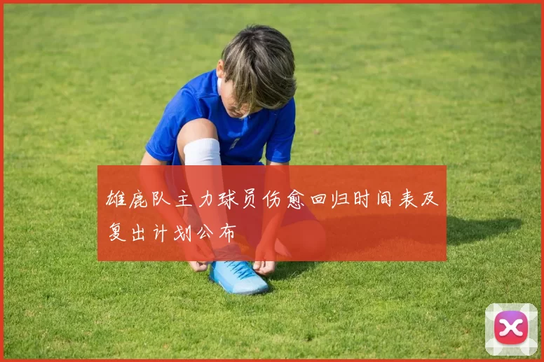雄鹿队主力球员伤愈回归时间表及复出计划公布