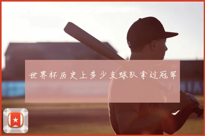 世界杯历史上多少支球队拿过冠军