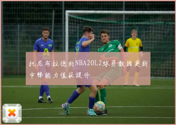 托尼布拉德利NBA2OL2球员数据更新中锋能力值获提升