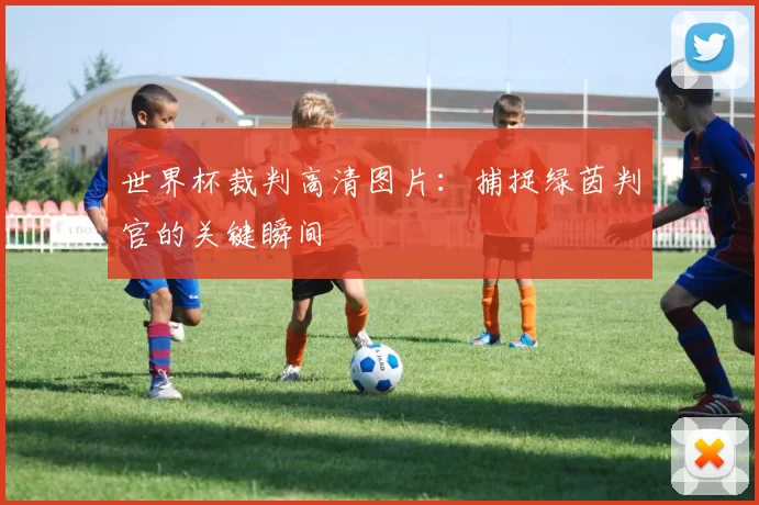 世界杯裁判高清图片：捕捉绿茵判官的关键瞬间