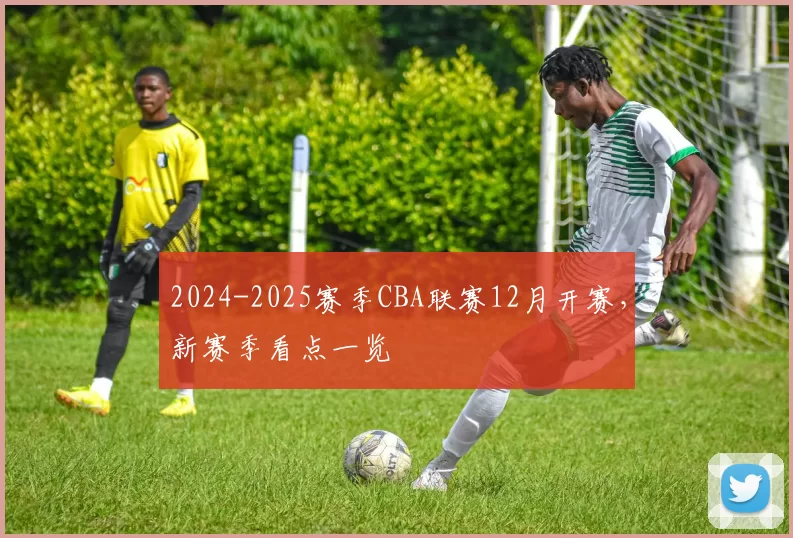 2024-2025赛季CBA联赛12月开赛，新赛季看点一览
