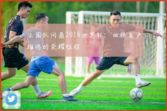 法国队问鼎2018世界杯:回顾高卢雄鸡的荣耀征程