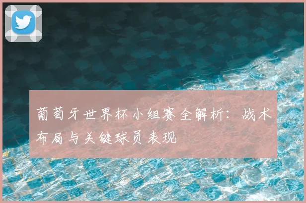 葡萄牙世界杯小组赛全解析：战术布局与关键球员表现