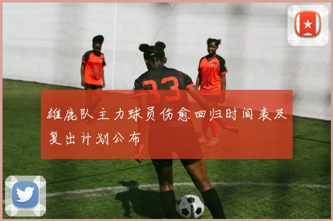 雄鹿队主力球员伤愈回归时间表及复出计划公布