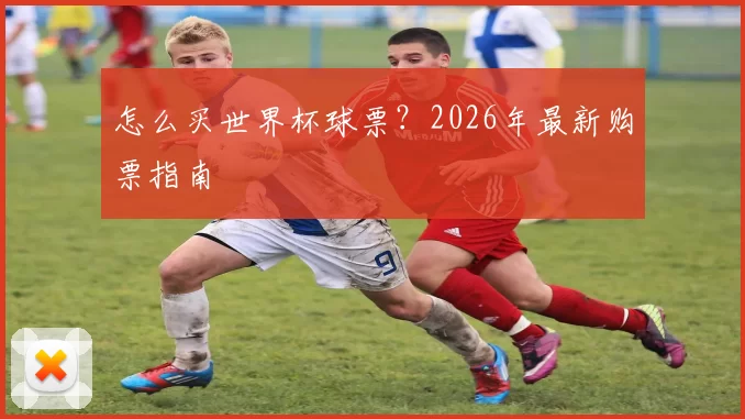 怎么买世界杯球票？2026年最新购票指南