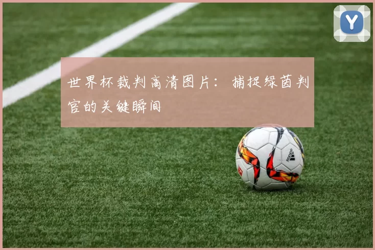 世界杯裁判高清图片:捕捉绿茵判官的关键瞬间
