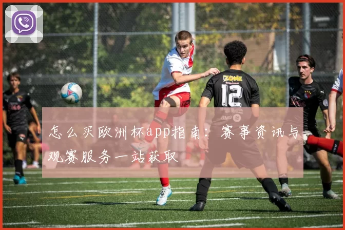 怎么买欧洲杯app指南：赛事资讯与观赛服务一站获取