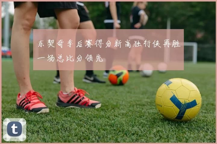 东契奇季后赛得分新高独行侠再胜一场总比分领先