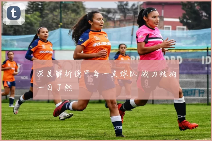 深度解析德甲每一支球队 战力结构一目了然