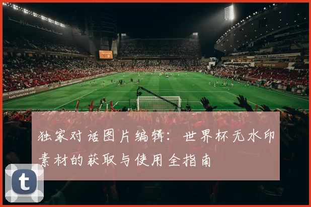 独家对话图片编辑：世界杯无水印素材的获取与使用全指南