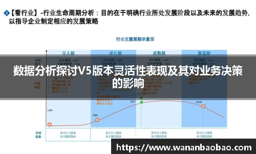 数据分析探讨V5版本灵活性表现及其对业务决策的影响