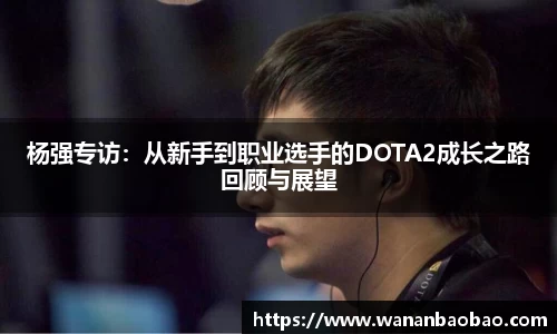 杨强专访：从新手到职业选手的DOTA2成长之路回顾与展望