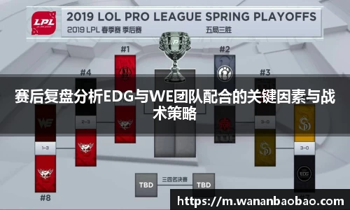 赛后复盘分析EDG与WE团队配合的关键因素与战术策略