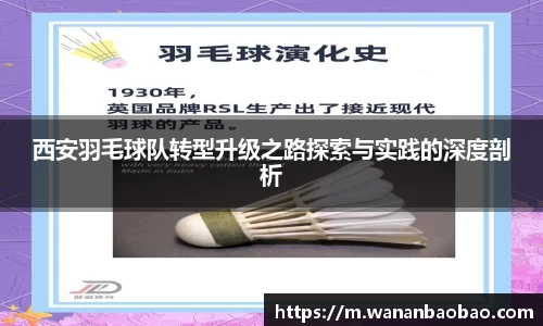 西安羽毛球队转型升级之路探索与实践的深度剖析