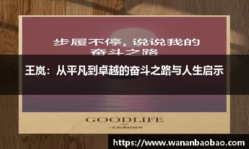 王岚：从平凡到卓越的奋斗之路与人生启示