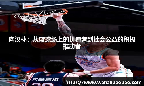 陶汉林：从篮球场上的拼搏者到社会公益的积极推动者